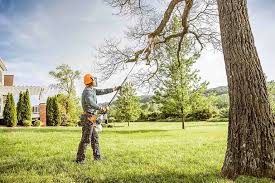 Best Lawn Drainage Solutions  in Lawrenceburg, KY