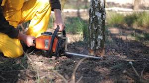 Best Lawn Watering Services  in Lawrenceburg, KY
