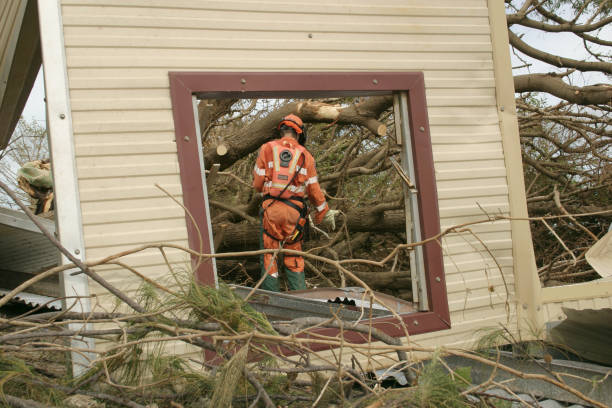 Best Hazardous Tree Removal  in Lawrenceburg, KY